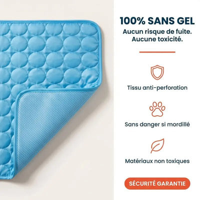 Tapis rafraîchissant Canipop - Canipop