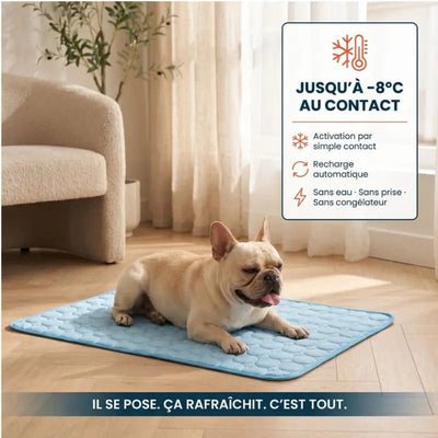 Tapis rafraîchissant Canipop - Canipop