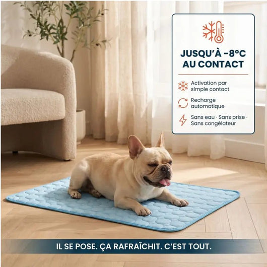 Tapis rafraîchissant Canipop - Canipop