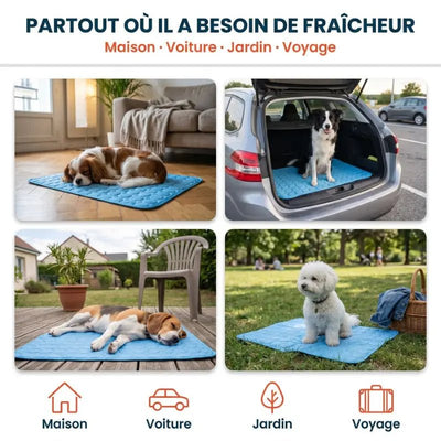 Tapis rafraîchissant Canipop - Canipop