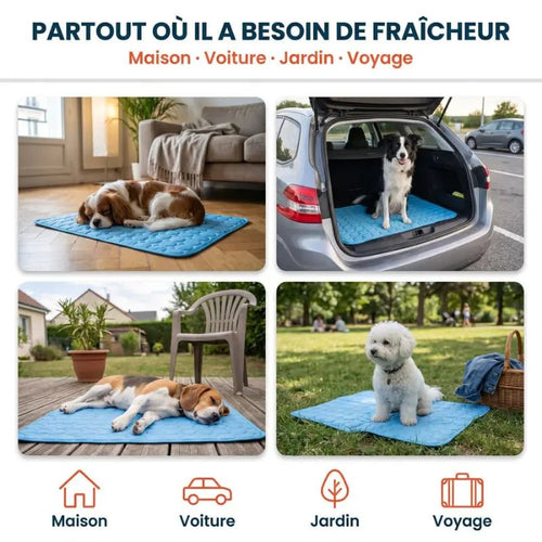 Tapis rafraîchissant Canipop