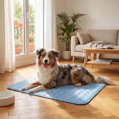 Tapis rafraîchissant Canipop - Canipop