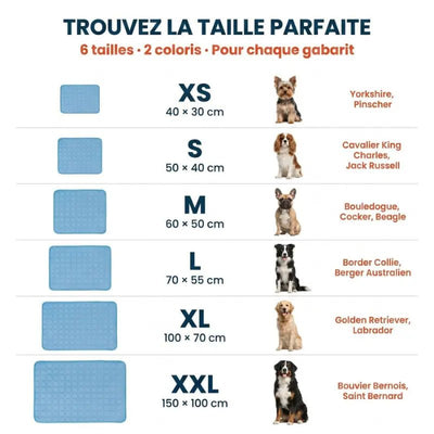 Tapis rafraîchissant Canipop - Canipop